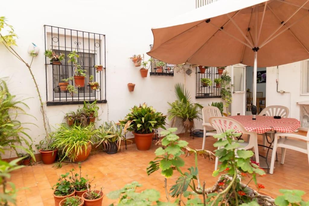 شقة El Patio De La Vina By Gades Gestion كاديز المظهر الخارجي الصورة
